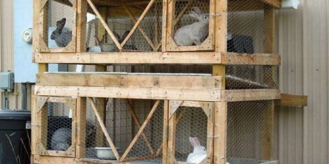 Rabbacker to udělá sami - kresby a velikosti